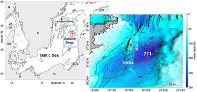 Impact of the Major Baltic Inflow in 2014 on Manganese Cycling in the Gotland Deep (Baltic Sea)